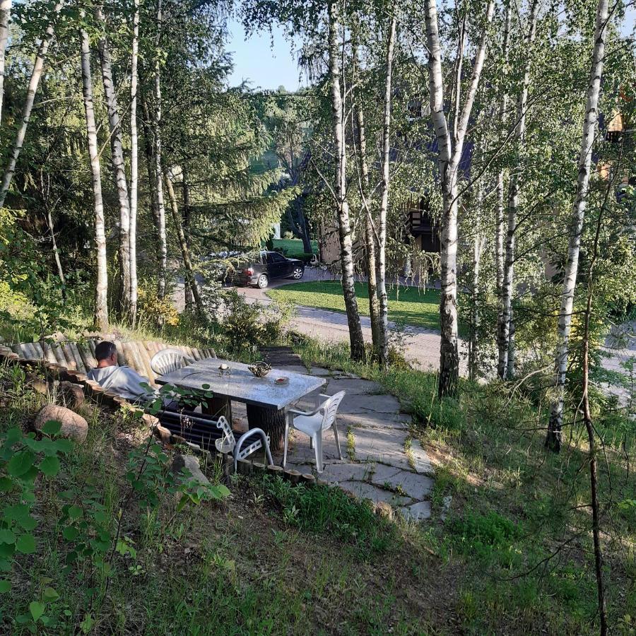 Agroturystyka Brzozowe Wzgorze Wlen Экстерьер фото